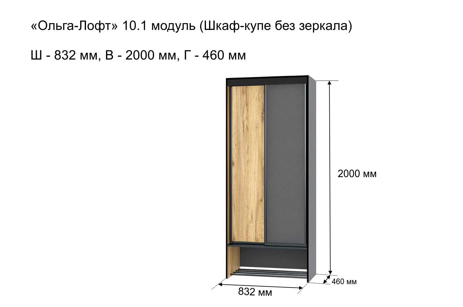 Шкаф-купе Ольга Лофт 10.1 без зеркала