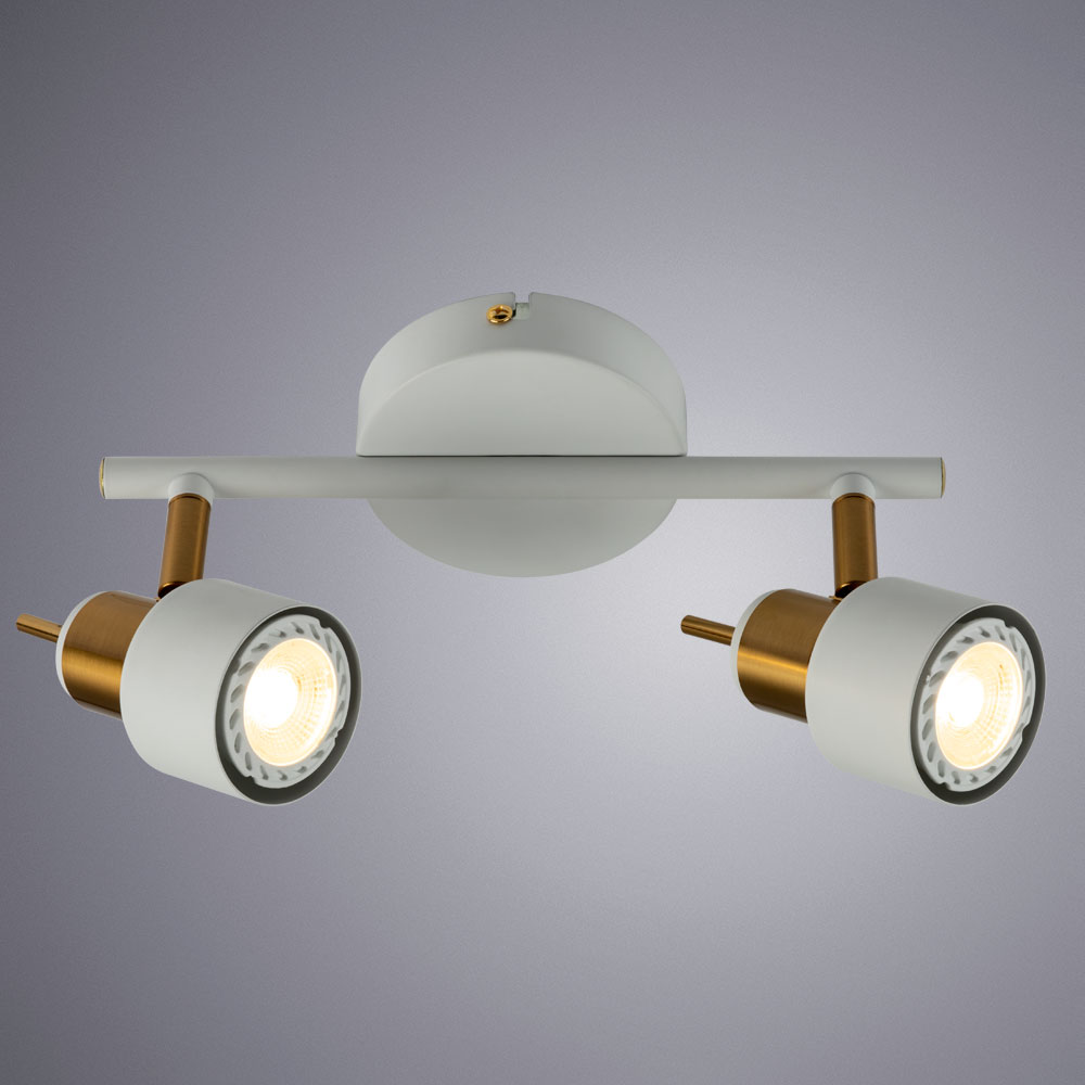 Спот потолочный Arte Lamp ALMACH A1906PL-2WH