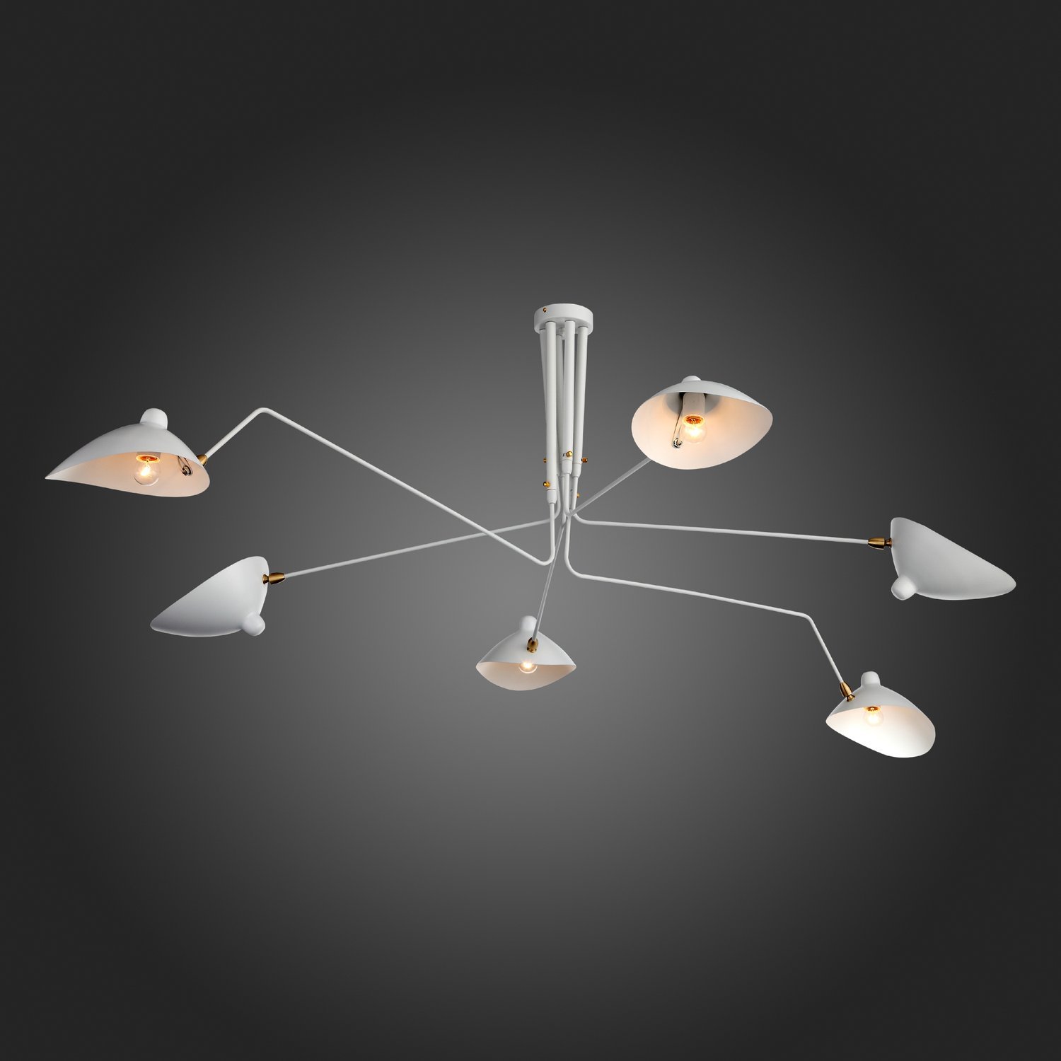 Люстра на штанге ST LUCE SPRUZZO SL305.502.06