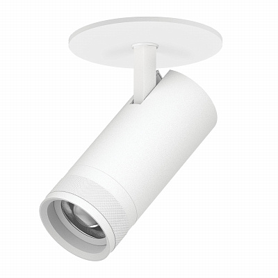 Спот потолочный Lightstar Canno Pro C4206RS